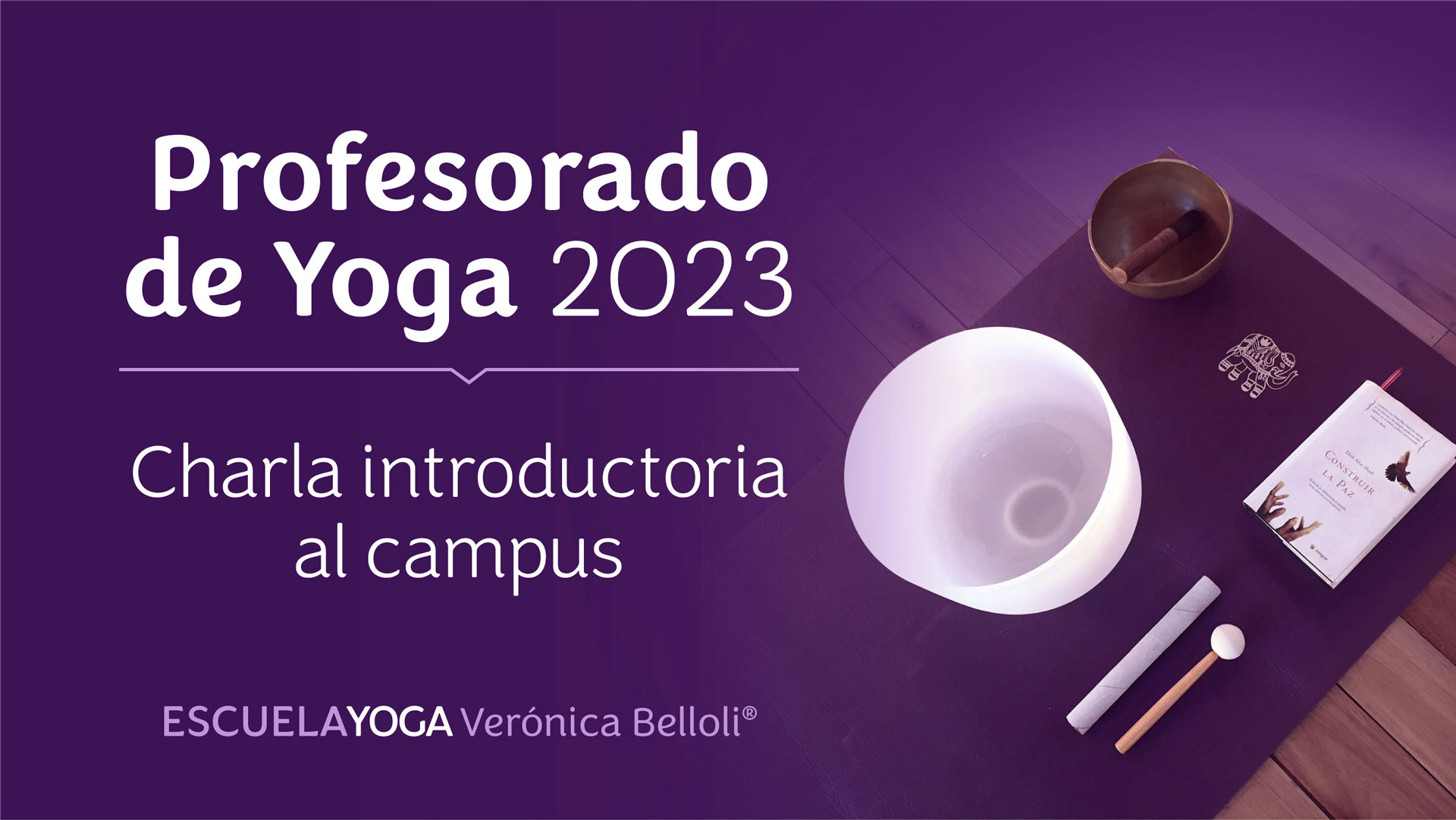 VB VideoYoutube Prof23 web