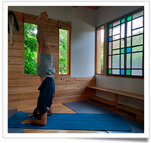 asana3