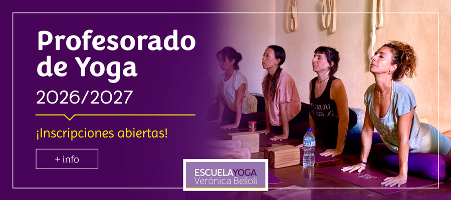 pasador profesorado 2026